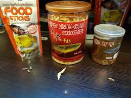 Buy Arowana fish food