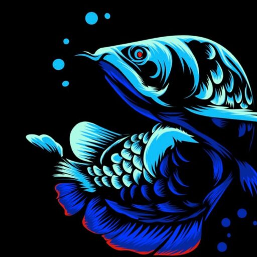 Arowana fish for sale